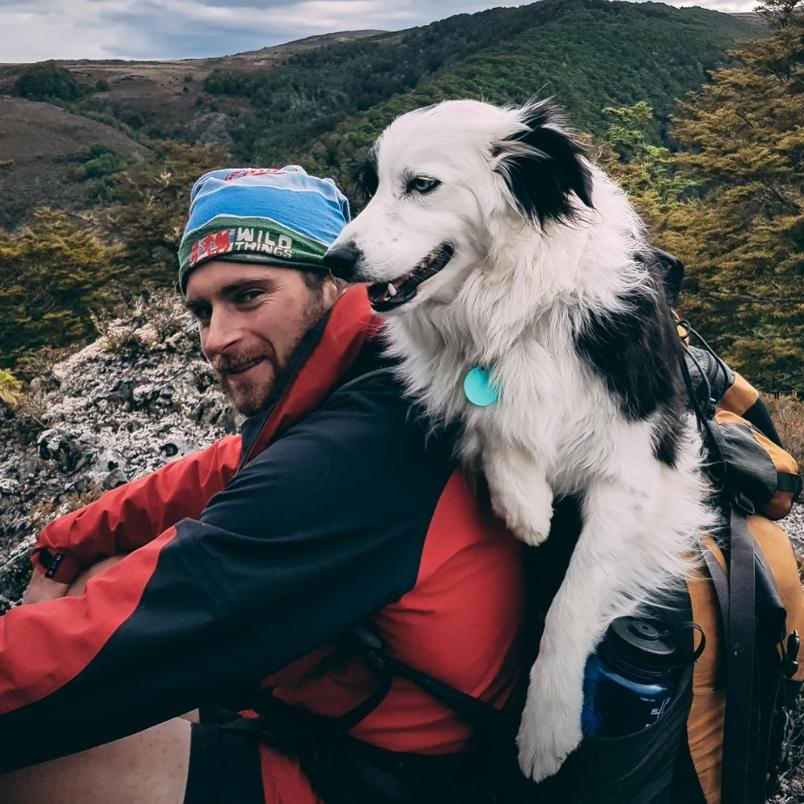 Dog riding on owner's back