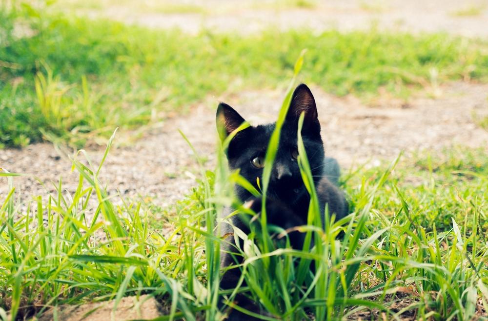 Sales, discounts & promotions